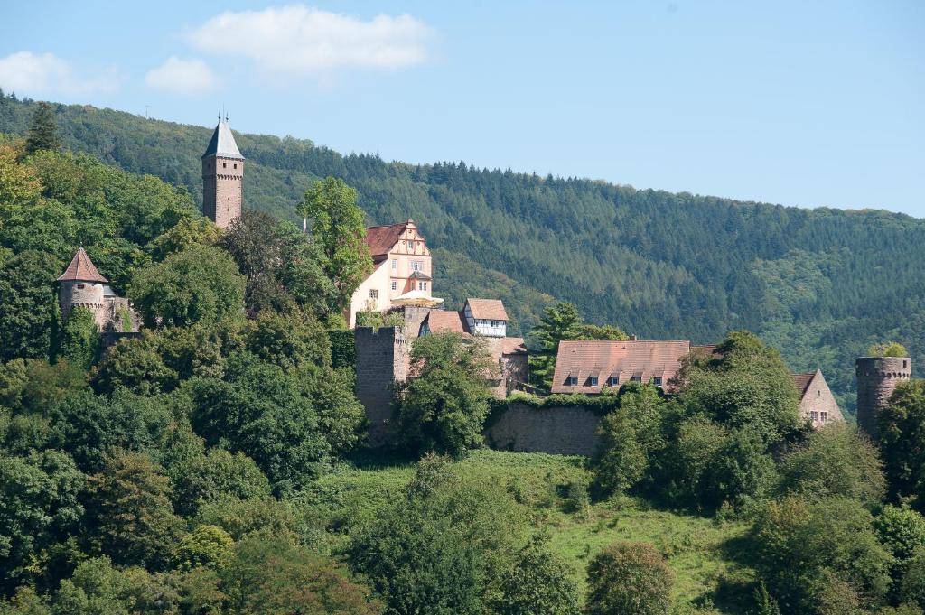 Schlosshotel Hirschhorn Eksteriør billede