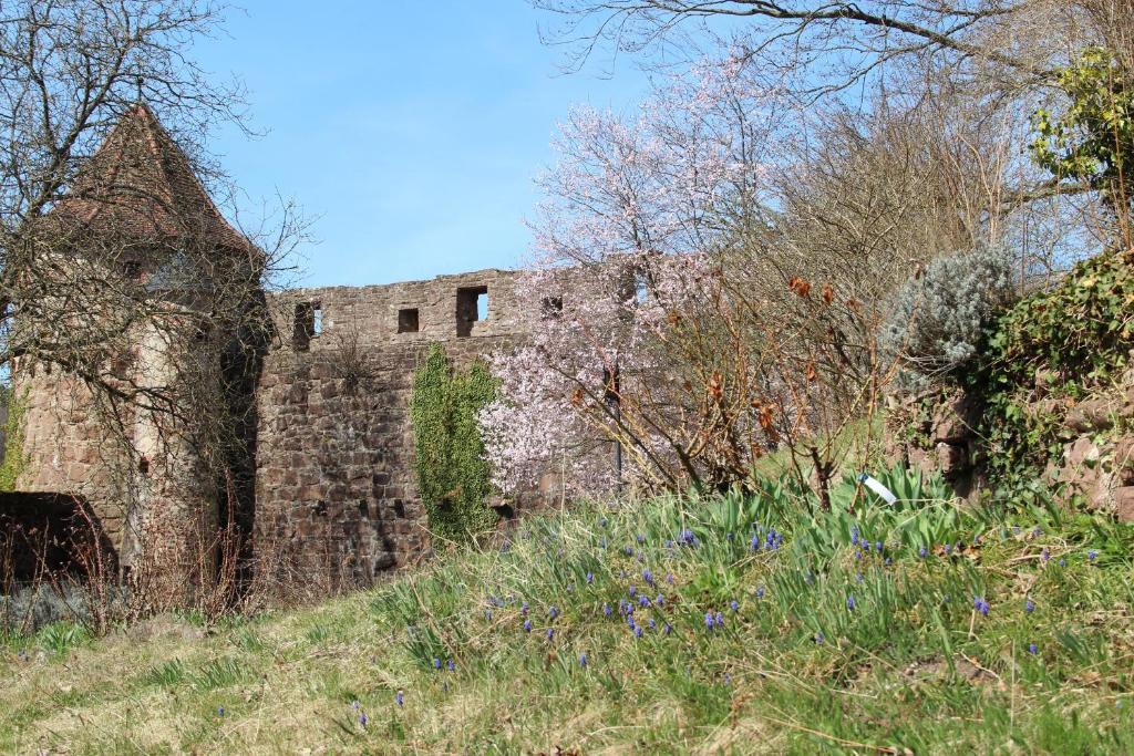 Schlosshotel Hirschhorn Eksteriør billede